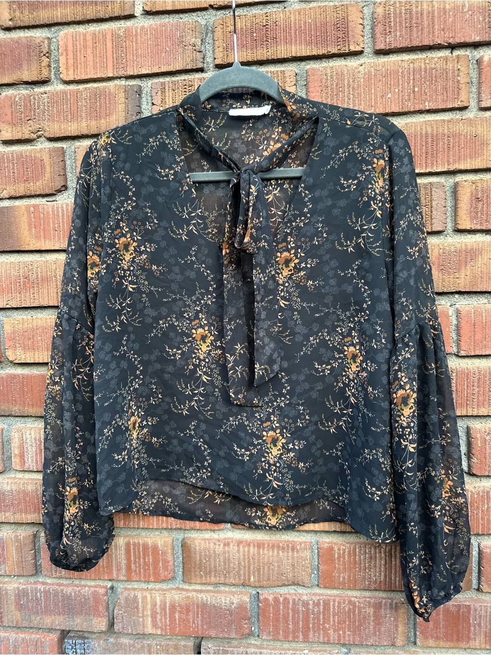 Lush Whimsigoth Floral Lined Front Sheer Back Tie Blouse - M